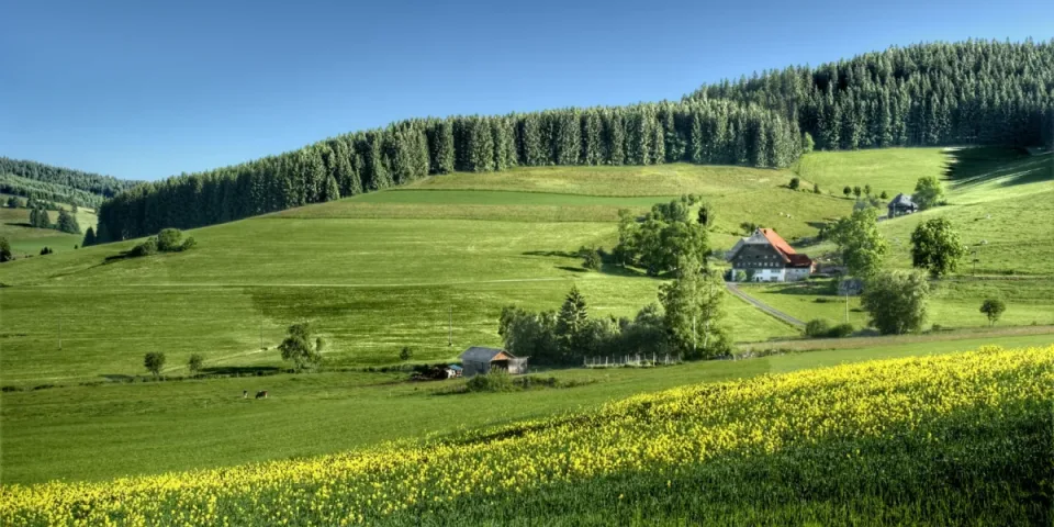 Domki nad Bałtykiem bez tłumu: top lokalizacje i porady, jak znaleźć ciszę (w tym terminy i rezerwacje), żeby cieszyć się widokiem na morze.